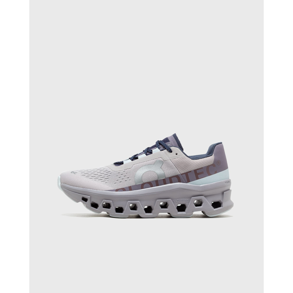ON Cloudmonster 61.98128 / grau