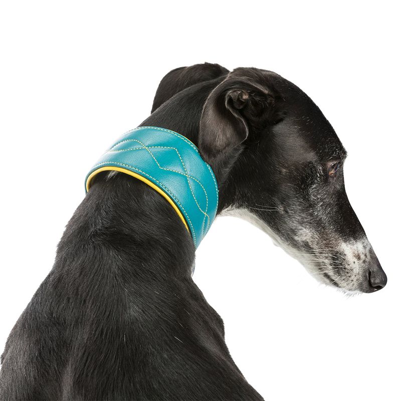 Trixie Active Comfort Halsband für Windhunde