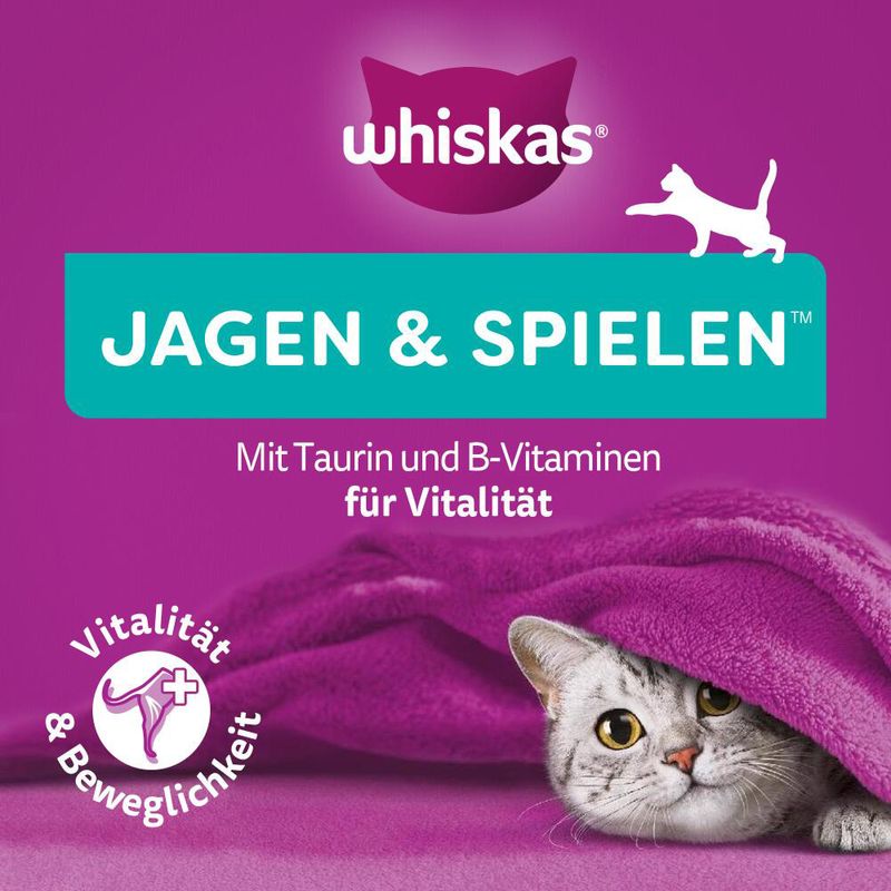 Whiskas Snacks Pounce & Play zu TOP-Preisen