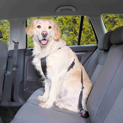 Trixie Auto-Geschirr für Hunde