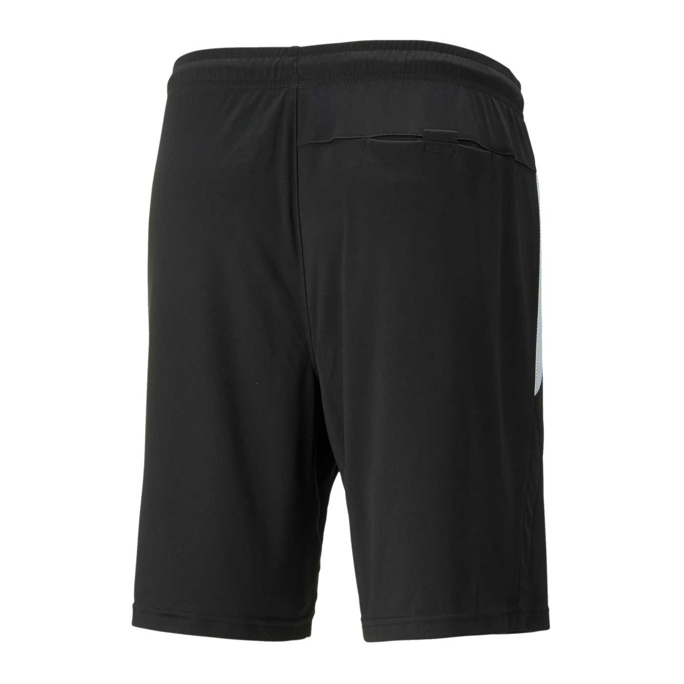 PUMA teamLIGA Schiedsrichter Short Schwarz F03