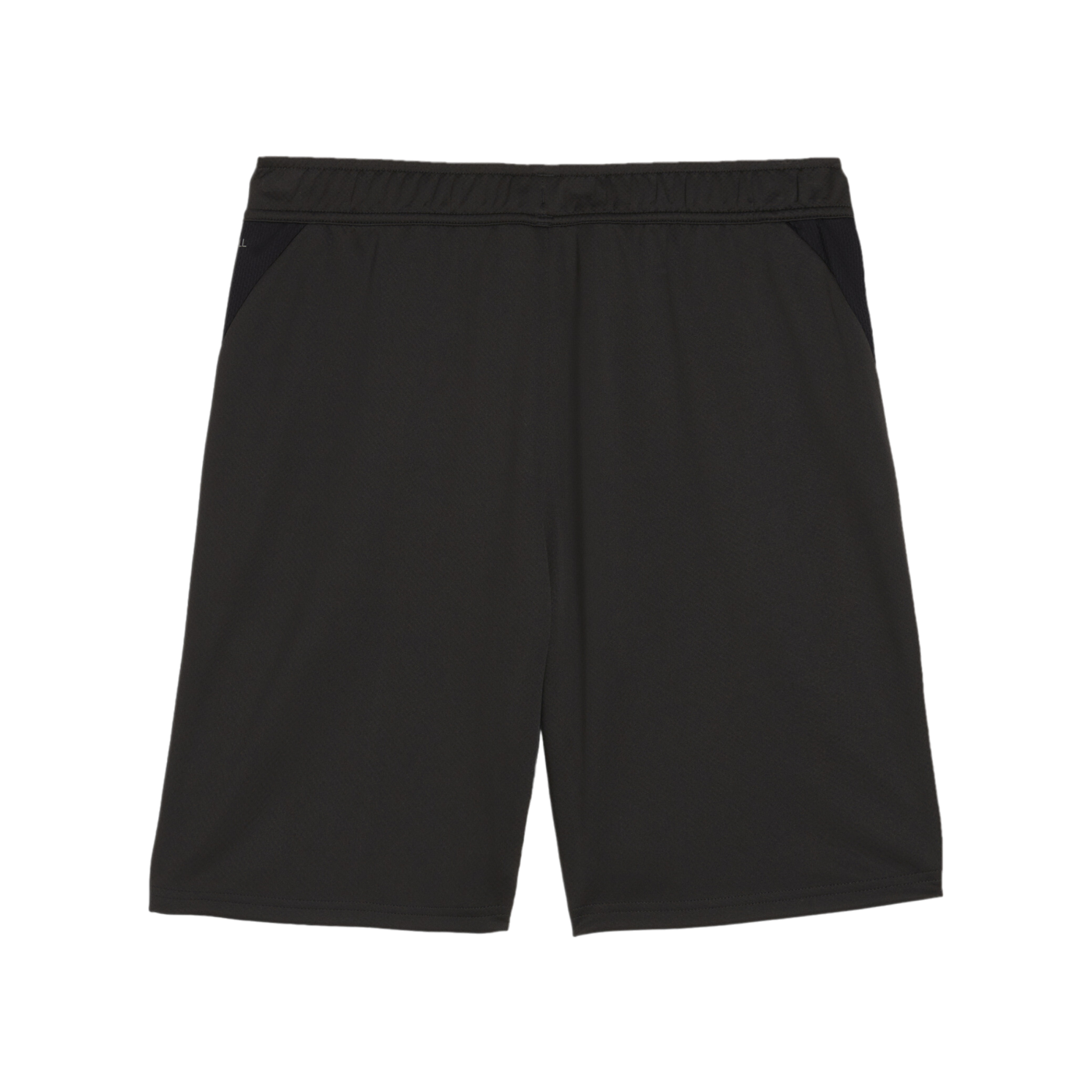 PUMA teamGOAL Training Shorts Schwarz F03