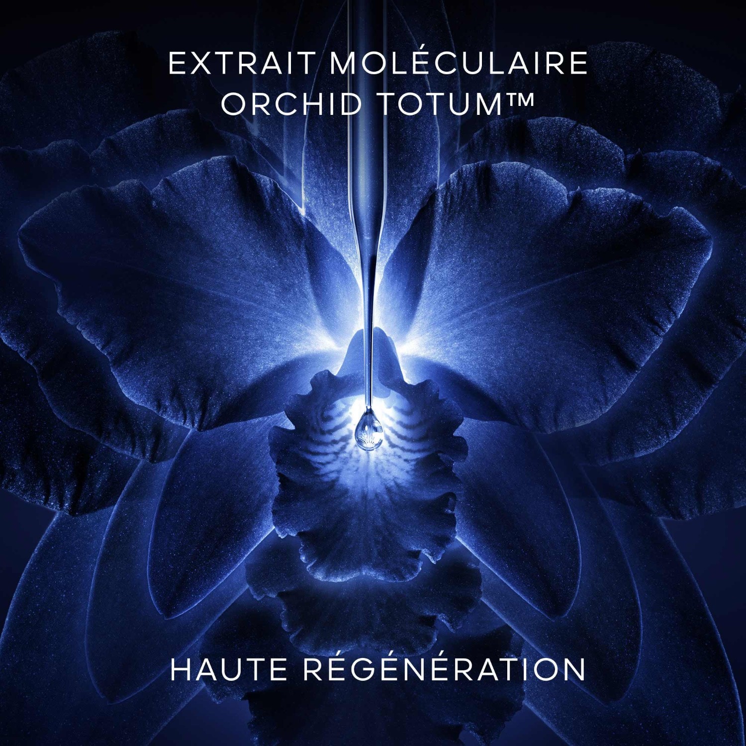 Guerlain La Crème