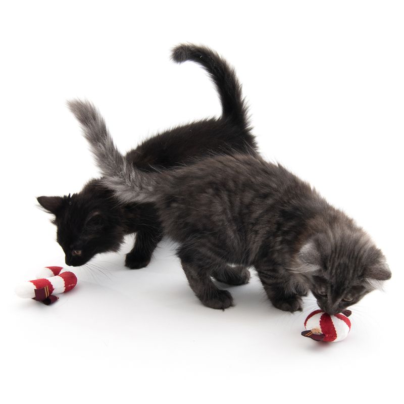 TIAKI Katzenspielzeug Christmas Candy mit Katzenminze | bitiba %