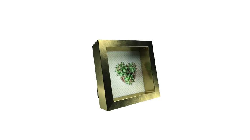tawo Portraitrahmen APART in Metallic Optik 10x10cm Gold