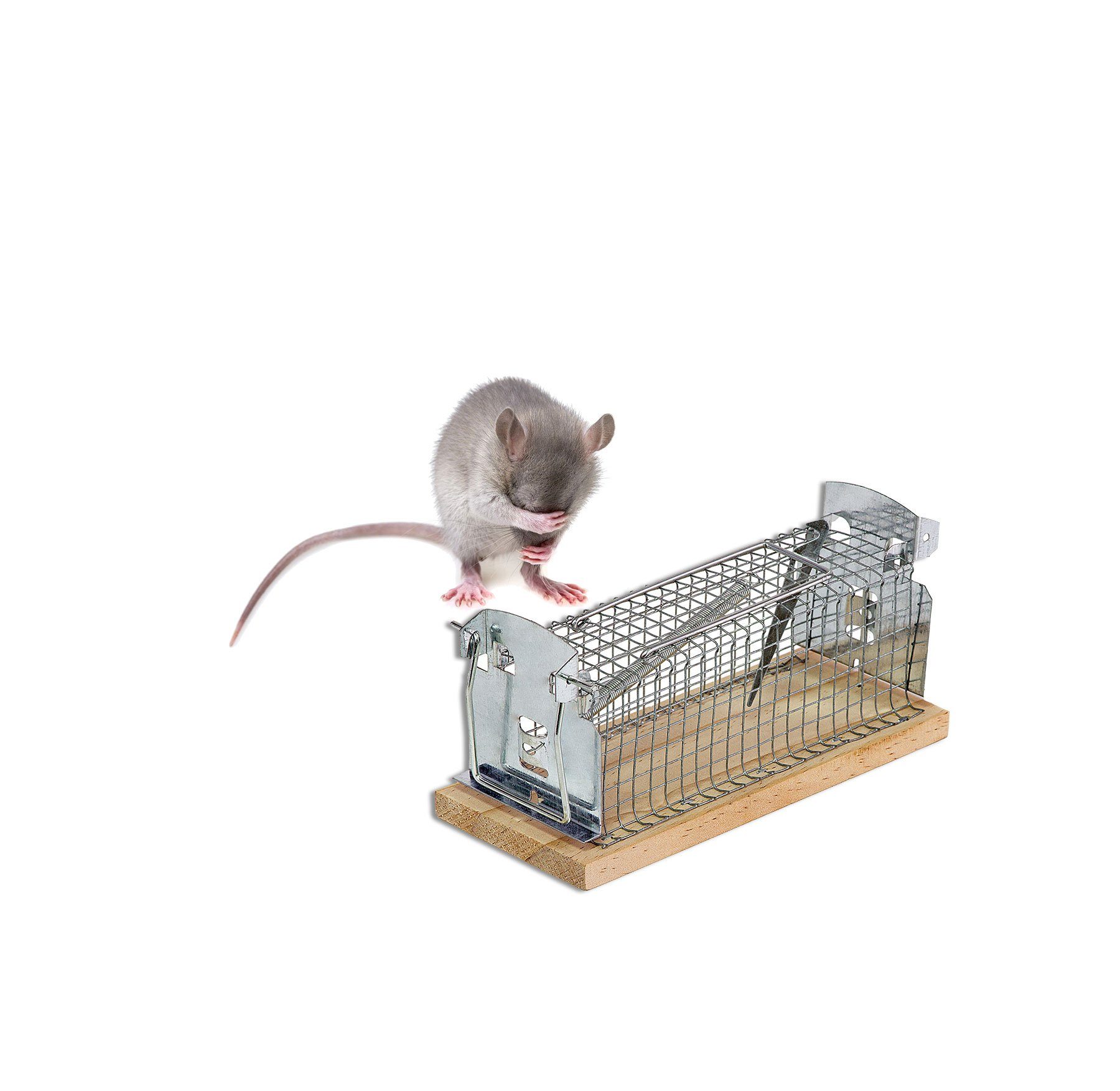 BigDean Lebendfalle Lebendfalle für Mäuse & Ratten