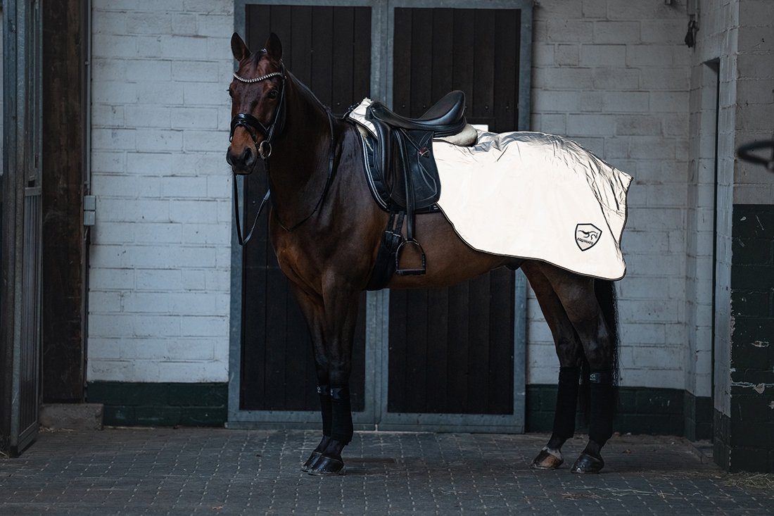 Equinate Pferde-Nierendecke reflektierende Ausreitdecke Xtreme-Visible wasserdicht und Innenfutter, atmungsaktiv