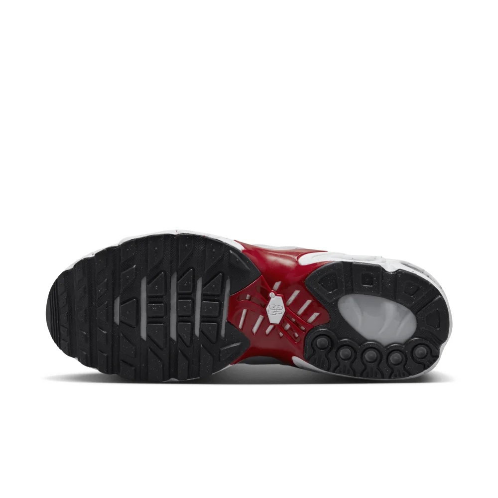Nike Air Max Terrascape Plus DV7513-001 / grau
