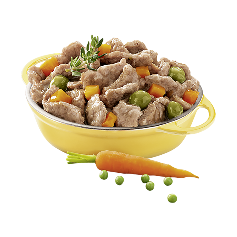Cesar Hundenassfutter Cesar Landragout 14x150g Geflügel & Gemüse