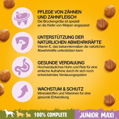 Pedigree Junior Maxi mit Huhn & Reis