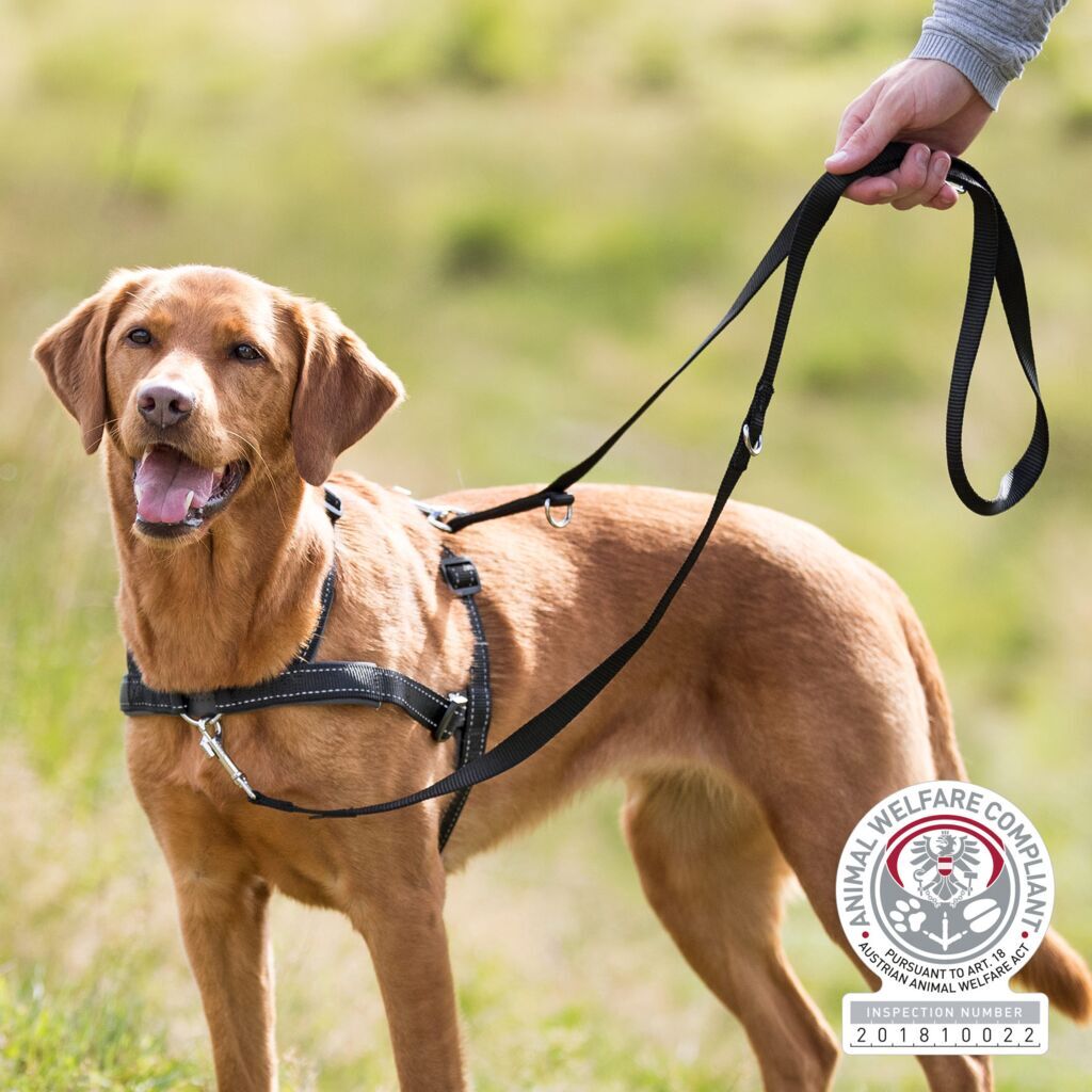 Trixie Hundeleinen Trixie Trainingsgeschirr Lead'n'Walk Soft