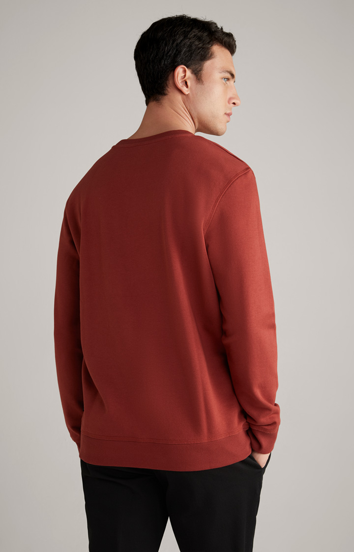 Sweatshirt Salazar in Rost
