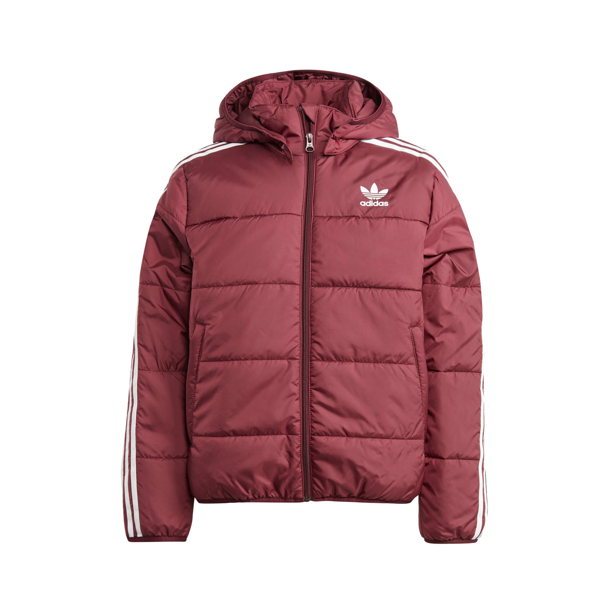 Winter Jacket 'Adicolor'