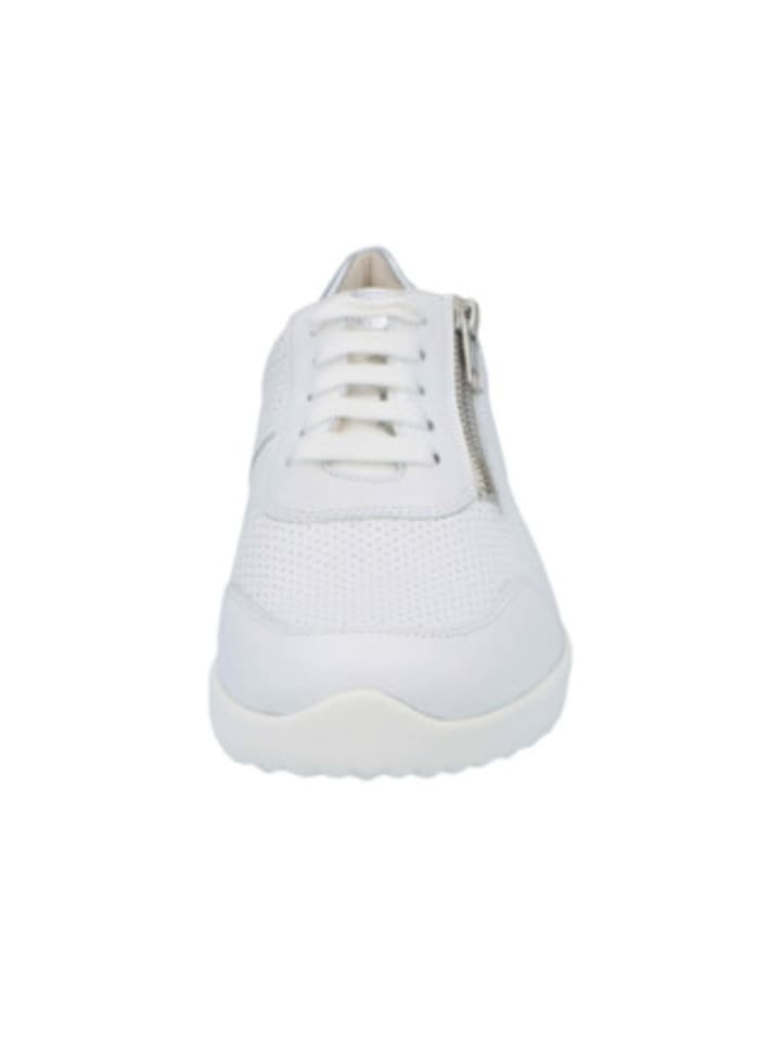 Solidus Sneaker für Damen in weiß in weiß günstig kaufen