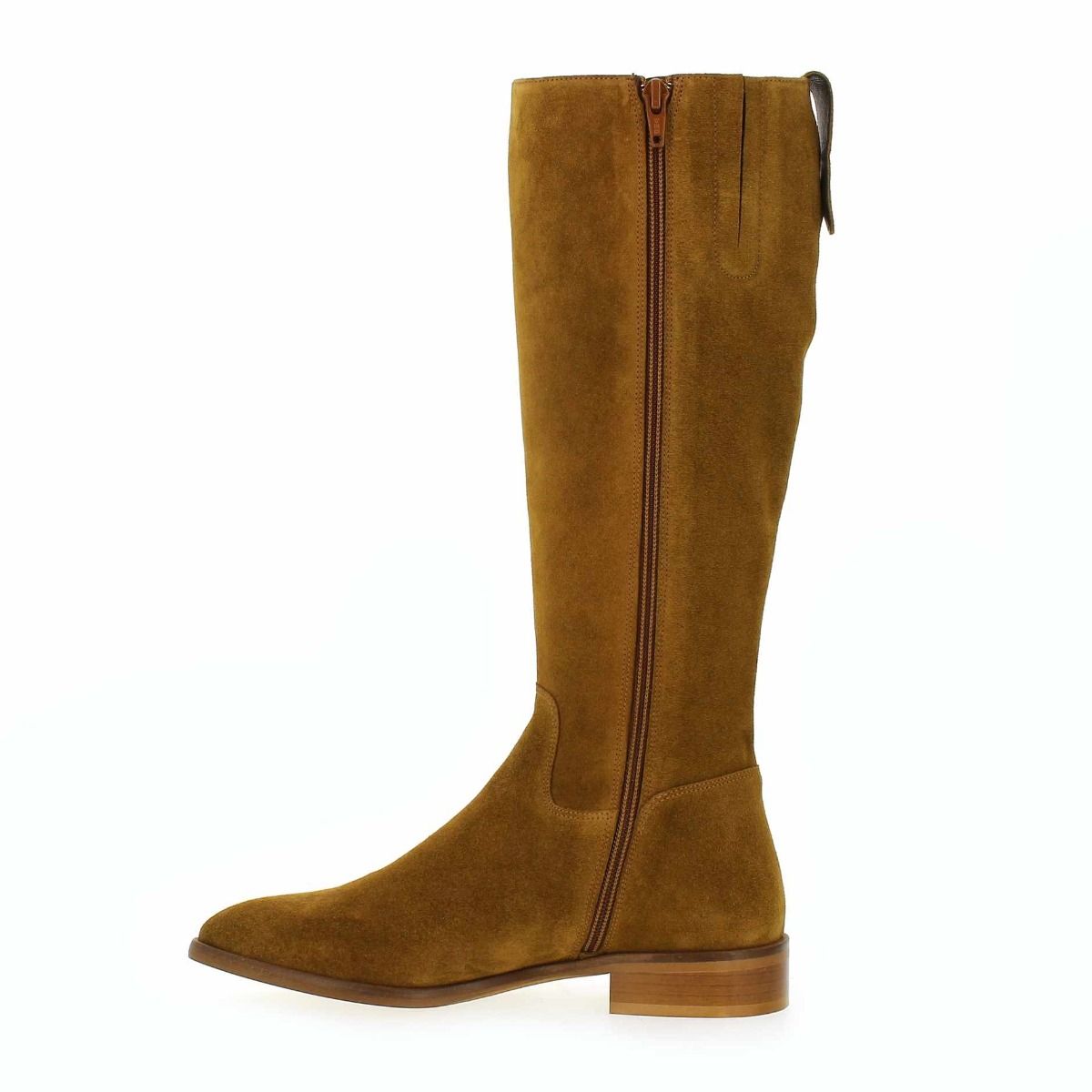 Janie Philip  DANAIDES - Camel