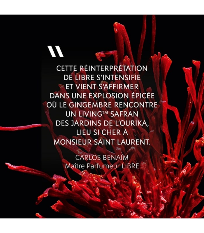 YVES SAINT LAURENT-LIBRE LE PARFUM-Eau de Parfum Vaporisateur