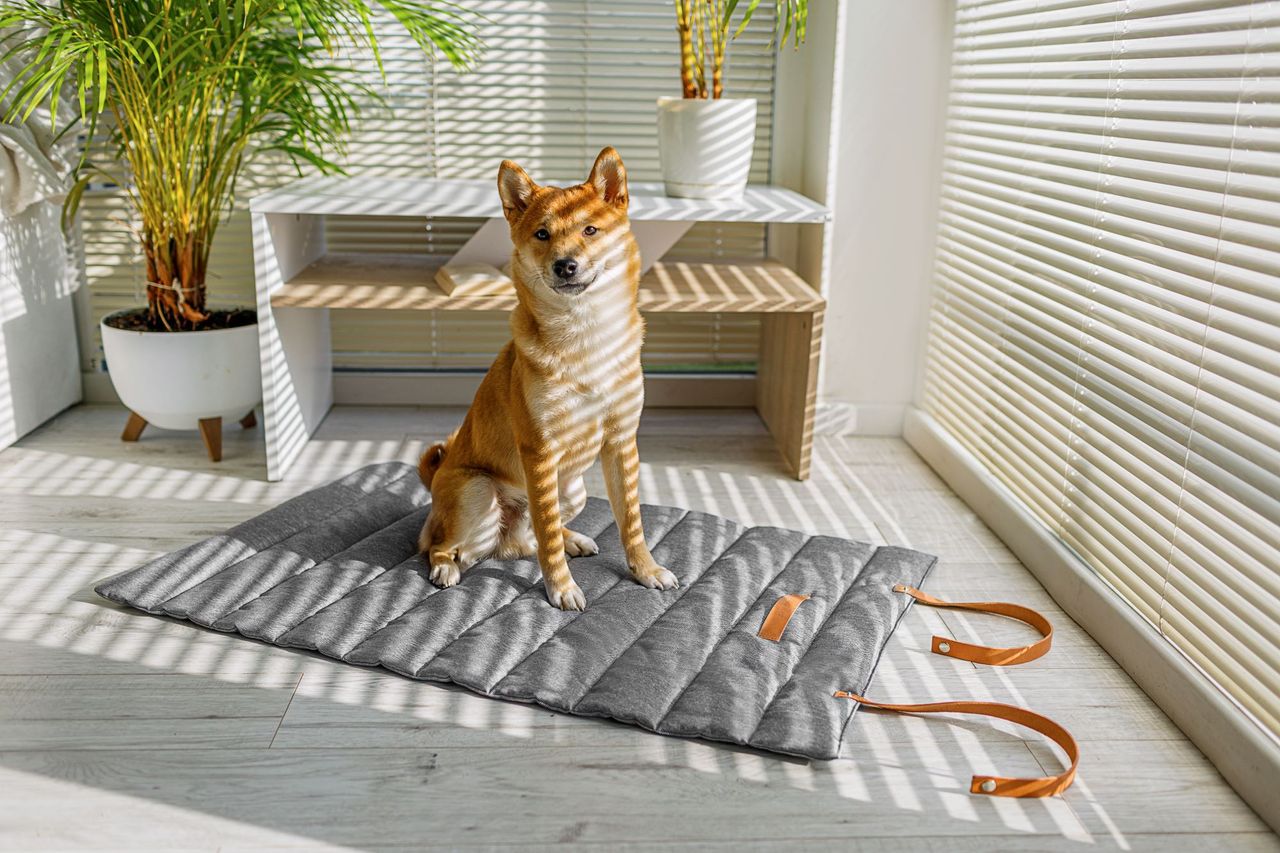 Animood Hunde-Rollmatte Luna Hundeteppich universal grau