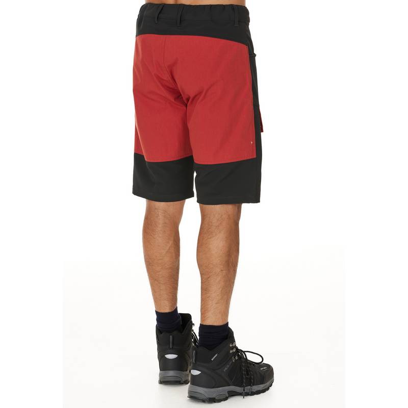 Whistler ERIC Shorts Herren