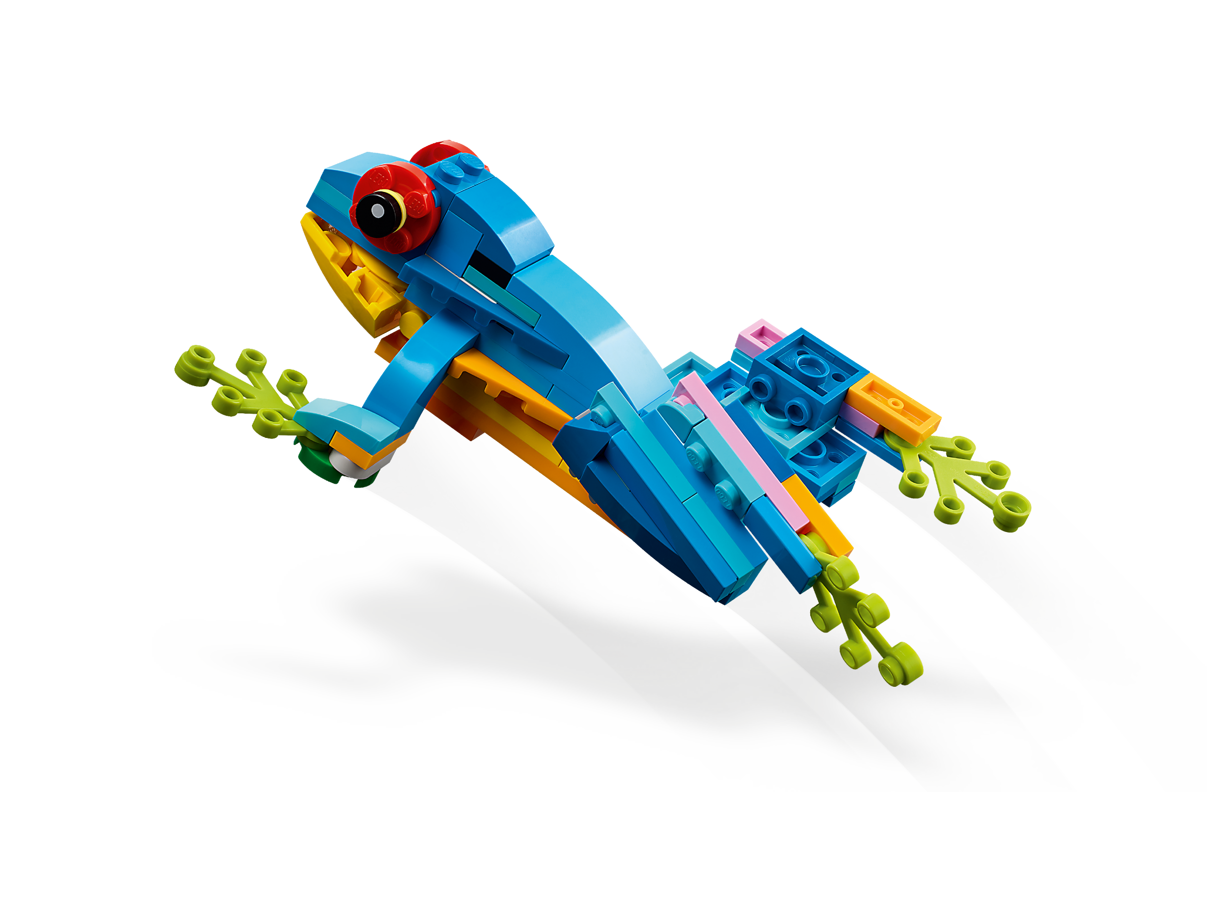 Exotischer Papagei 31136