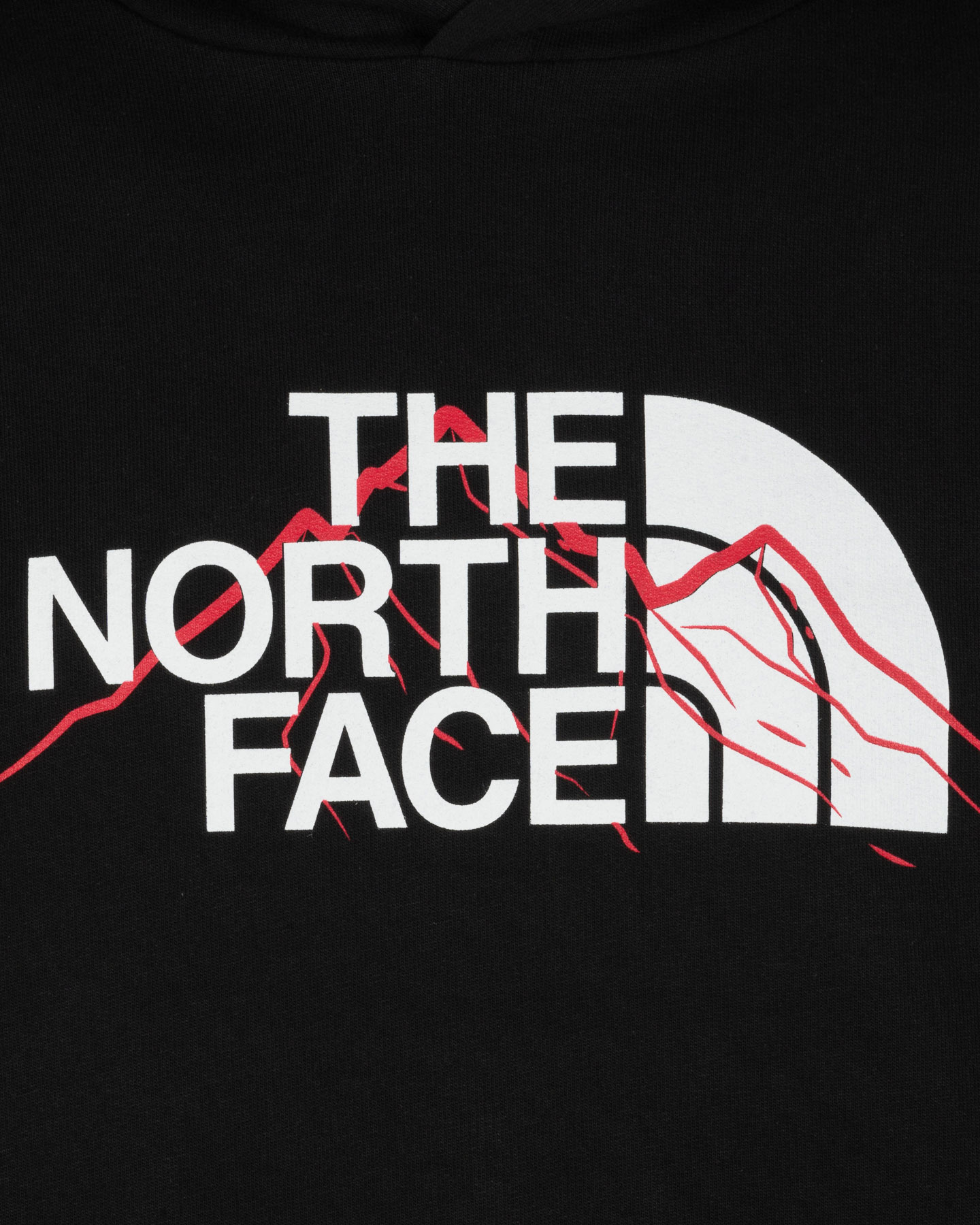 Felpa The North Face Mountain Line M NF0A8FM3JK31