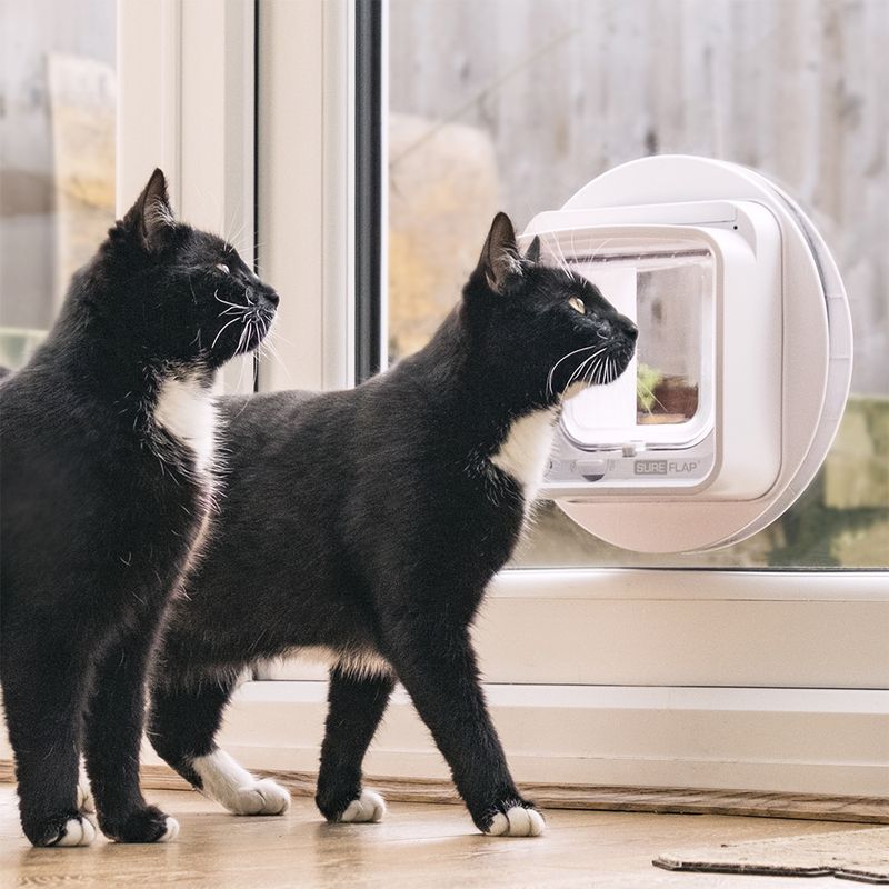 Sureflap Mikrochip Katzenklappe Connect zu TOP-Preisen | bitiba %