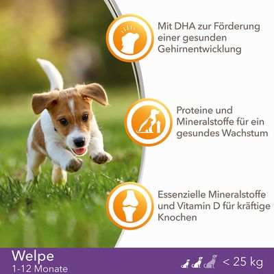 IAMS for Vitality Dog Puppy & Junior Small / Medium Huhn
