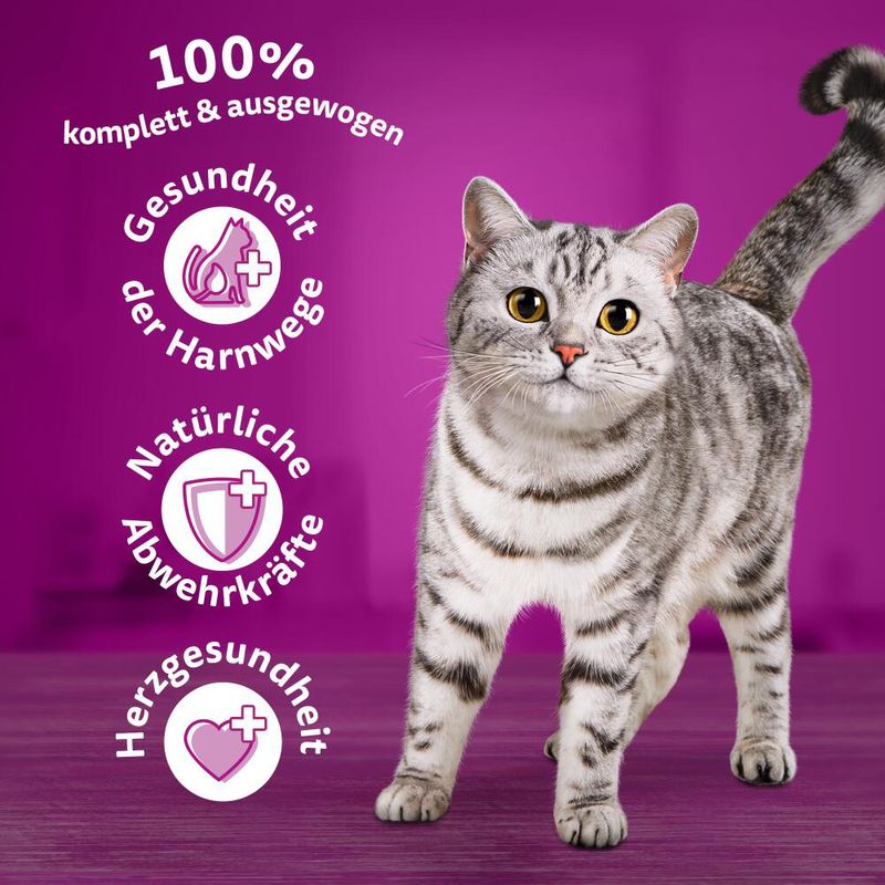 Whiskas 7+ Senior Huhn zu TOP-Preisen