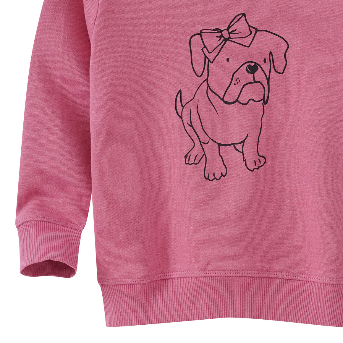 Mädchen Sweatshirt mit Hunde-Print