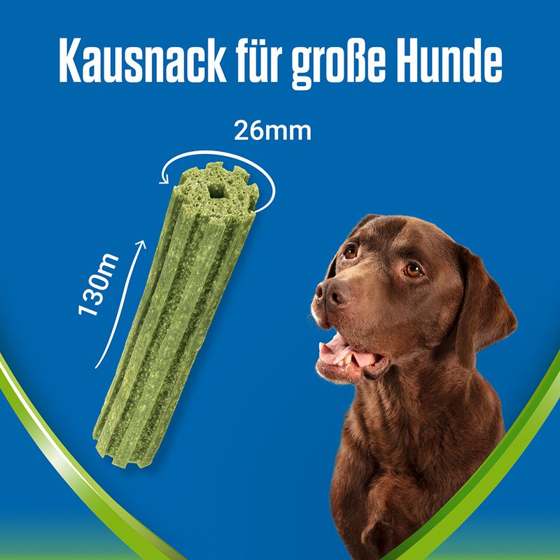 Purina Dentalife Active Fresh für große Hunde