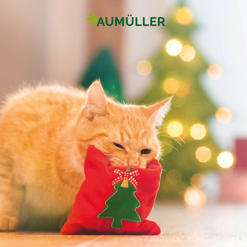 Aumüller Baldrian & Catnipspielzeug Aumüller Spielkissen Jingle Bells