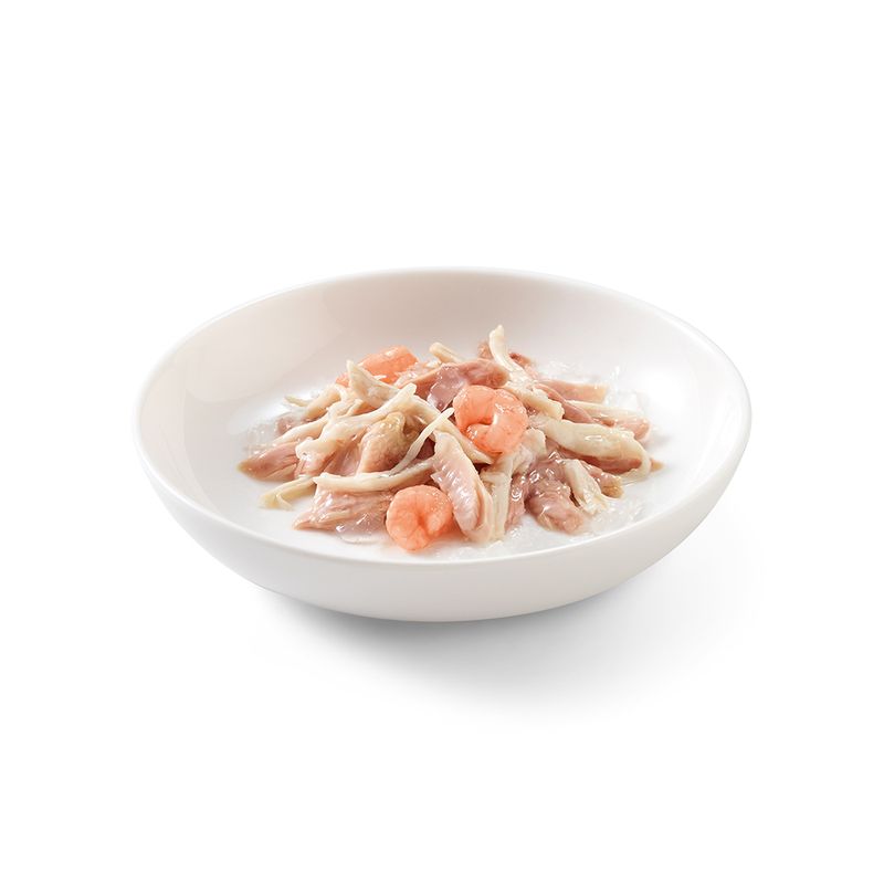 Schesir Jelly Pouch 6 x 85 g zu TOP-Preisen