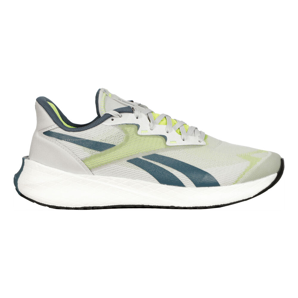 Reebok Floatride Energy Symmetros 2.5 IE4644 / grau