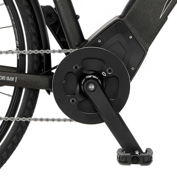 Trekking E-Bike Viator 6.0i, Herren