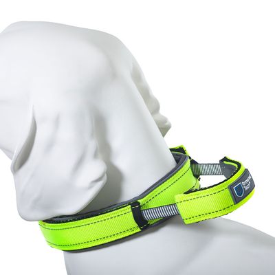 ArmoredTech Dog Control Halsband, neon grün