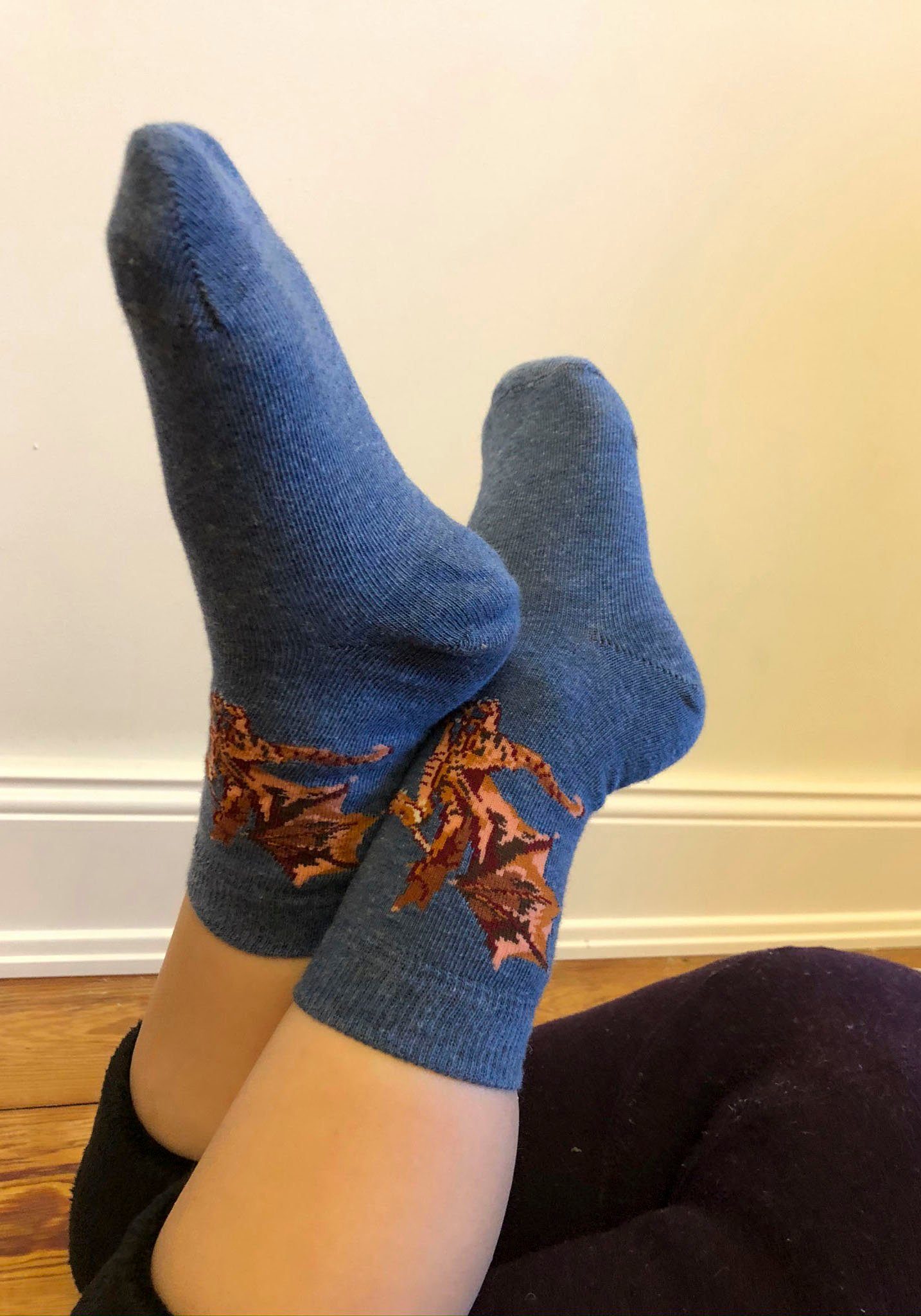 H.I.S Socken (5-Paar) mit unterschiedlichen Drachen Motiven