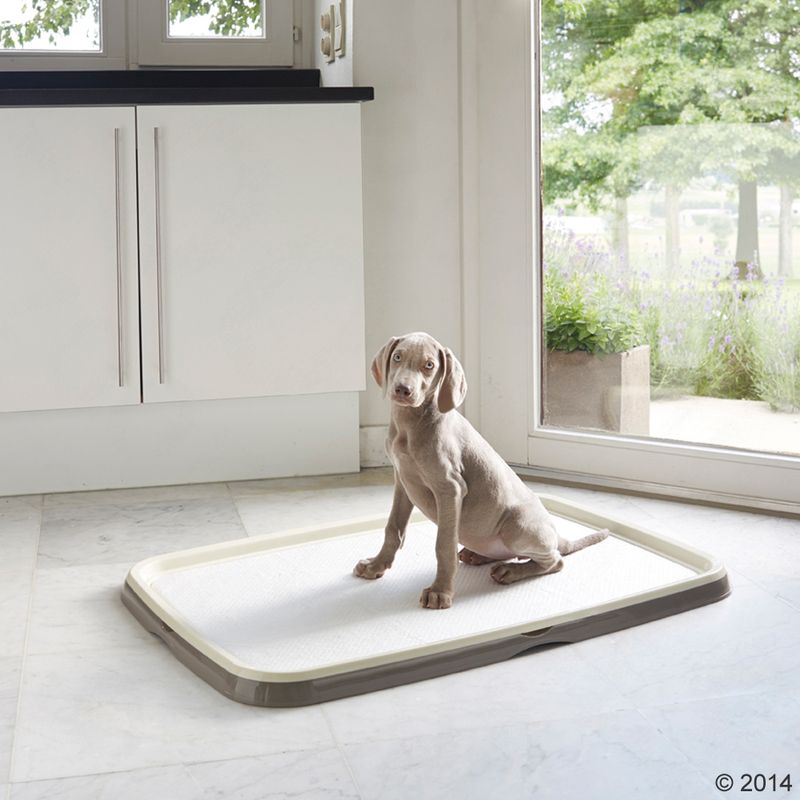 Online kaufen - Produkte für die Hundetoilette bei bitiba.de: Puppy Trainer Starter Set