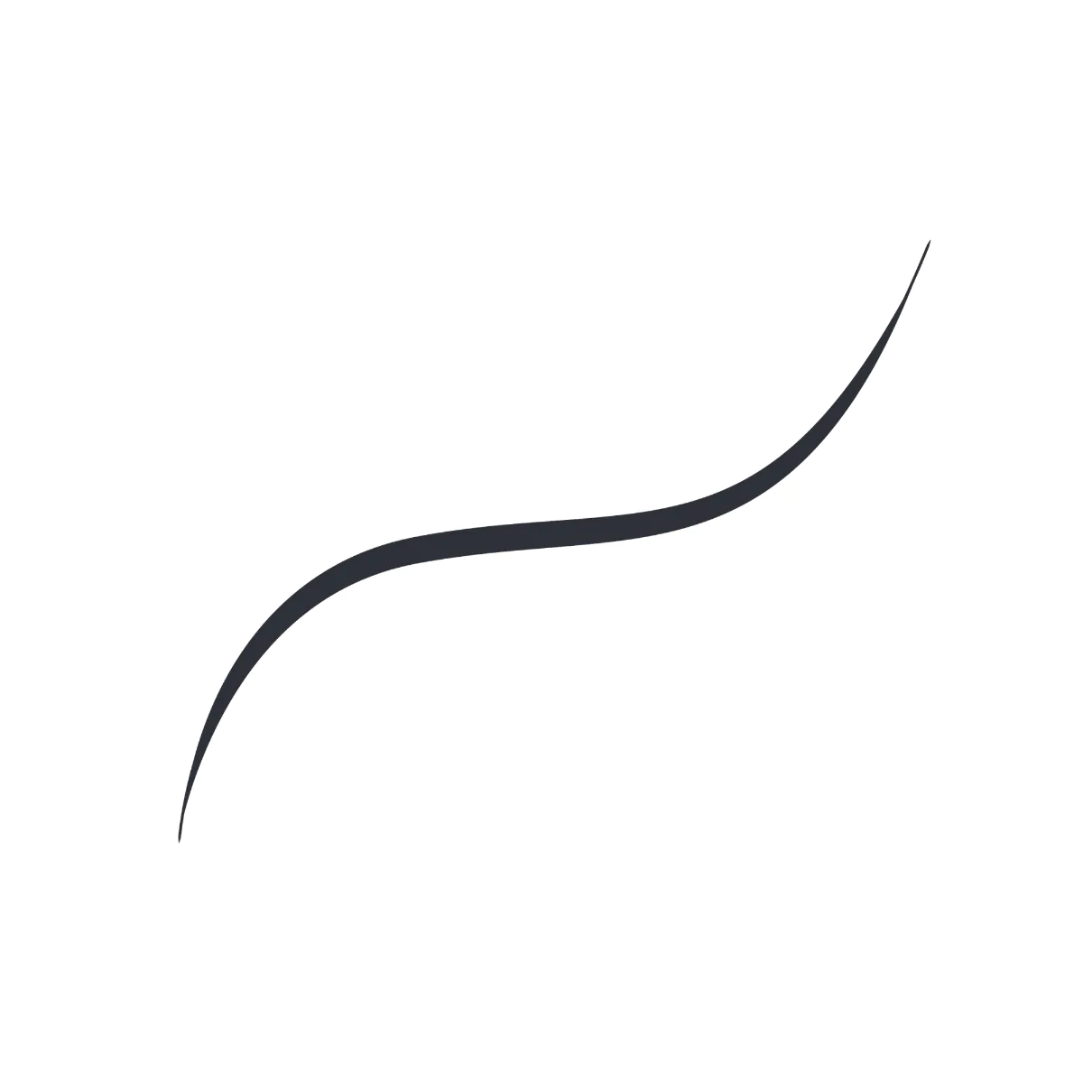 L'Oréal Paris Infaillible Micro Fine Eyeliner 01 Obsidian Black