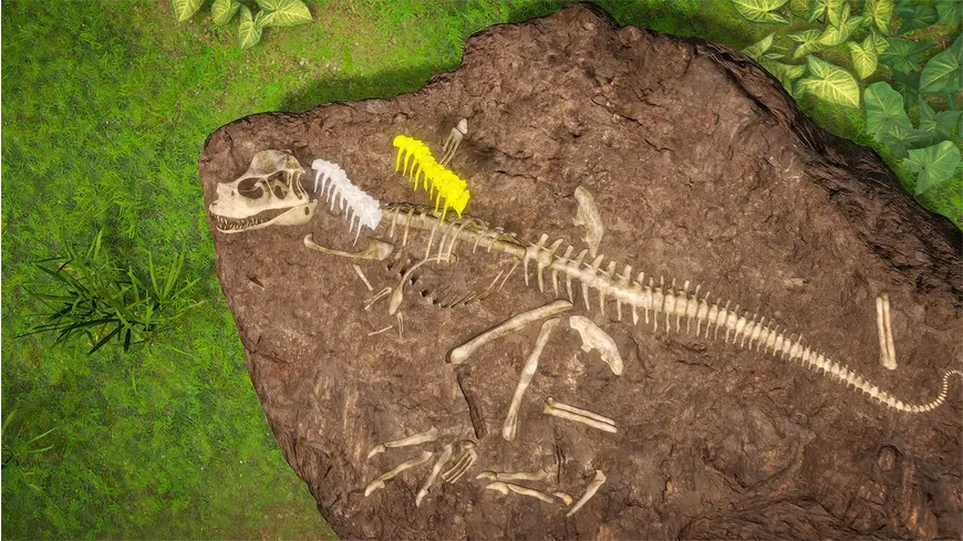Dinosaurs - Mission Dino Camp