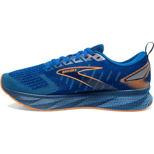 HERREN LAUFSCHUHE LEVITATE 6