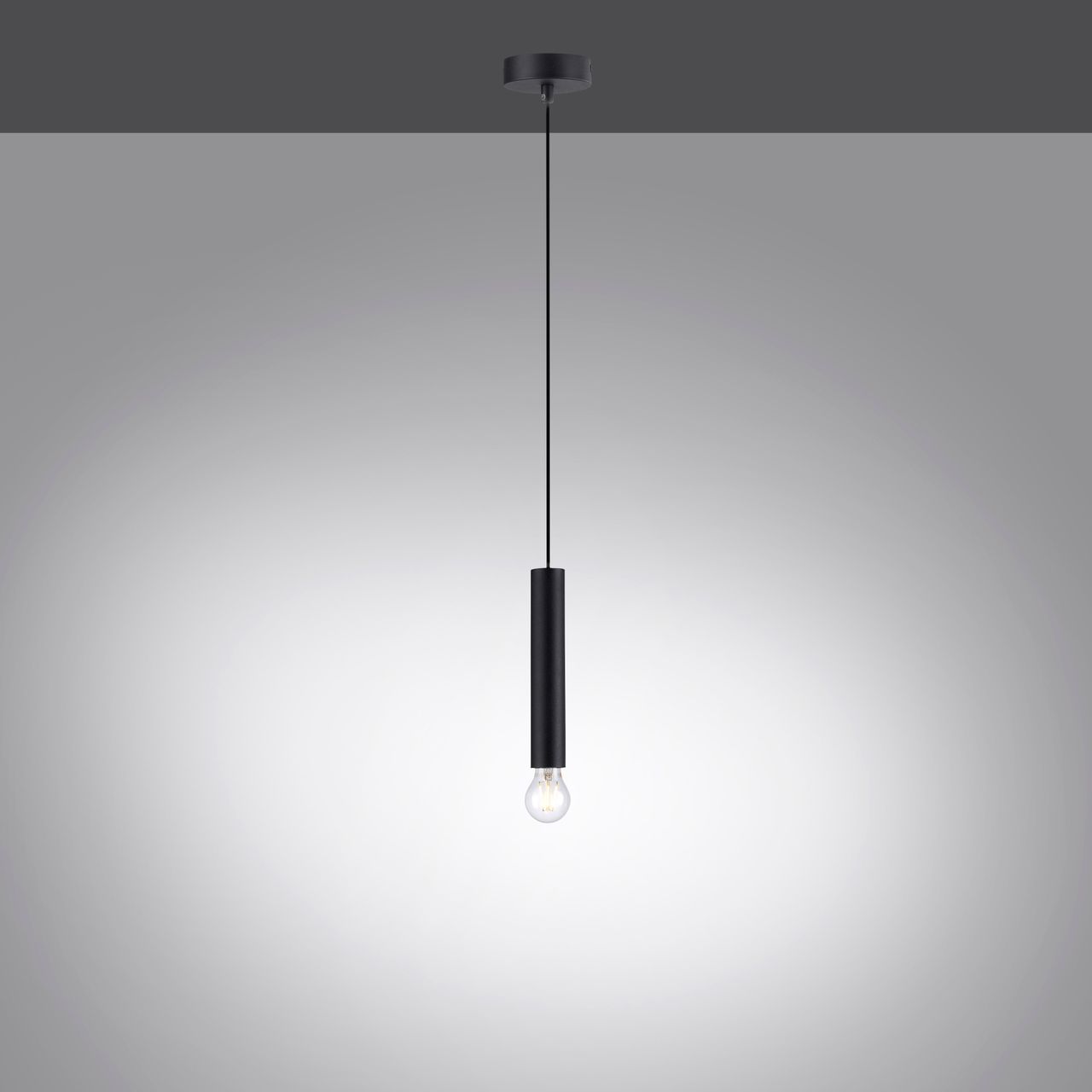 JUST LIGHT LechtenDirekt Pendelleuchte BRUNA, 1-flg.,1xE27/60Watt, Innenleuchte, IP20