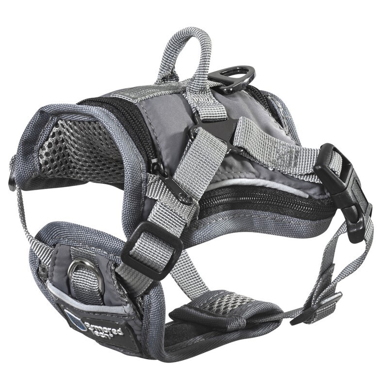 ThermoSwitch Hundegeschirre ThermoSwitch ArmoredTech Allwetter Geschirr XS