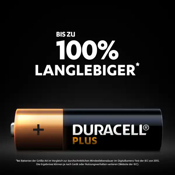 Plus AA Alkaline-Batterien
