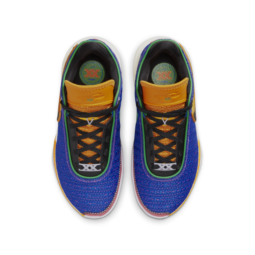 Nike LeBron XX DQ8651-401 / blau