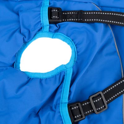 TIAKI Hundemantel mit Geschirr Arkon, blau