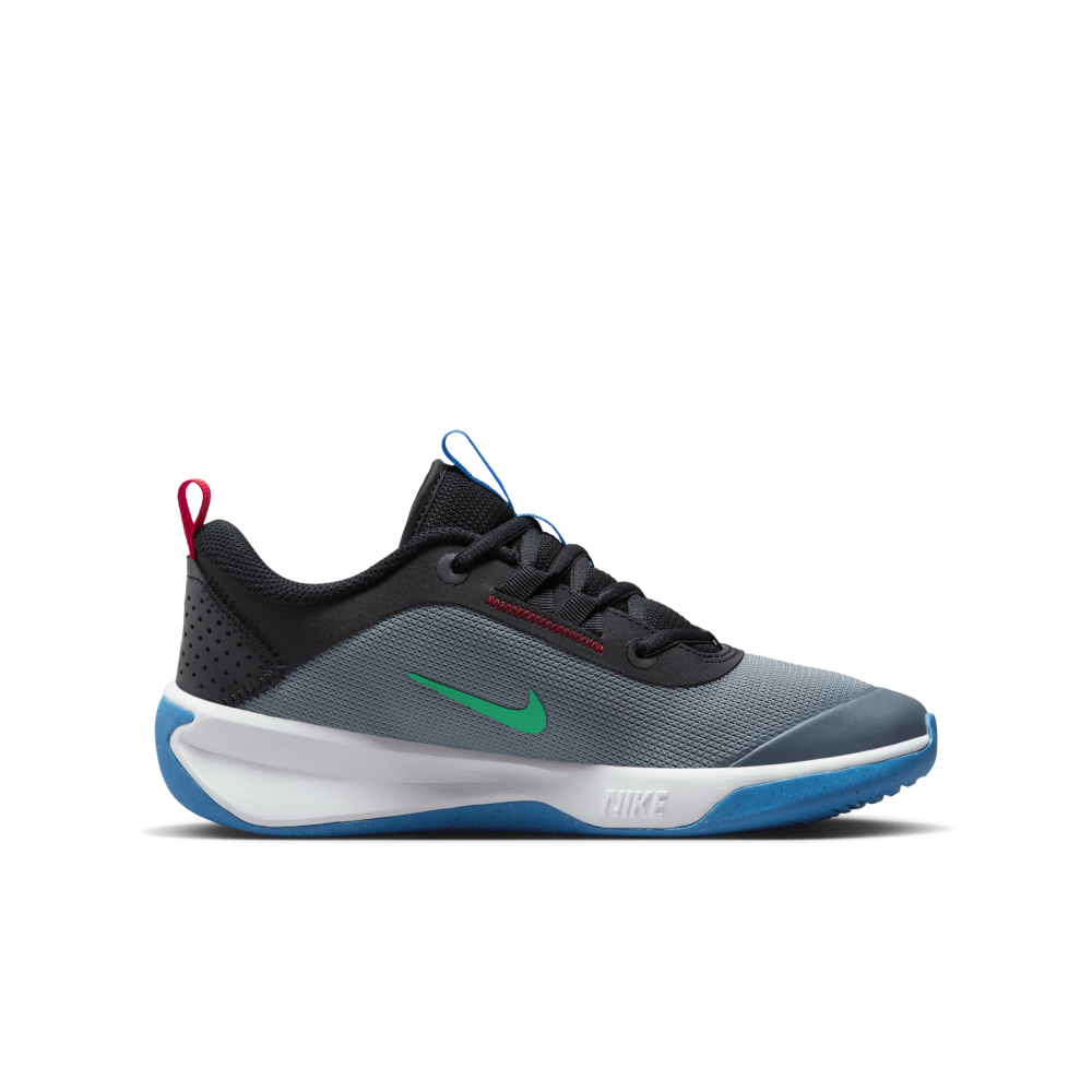 Nike Omni Multi Court DM9027-006 / grau