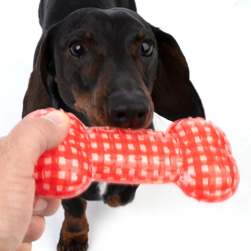 TIAKI Hundespielzeug TPR Knochen zu TOP-Preisen