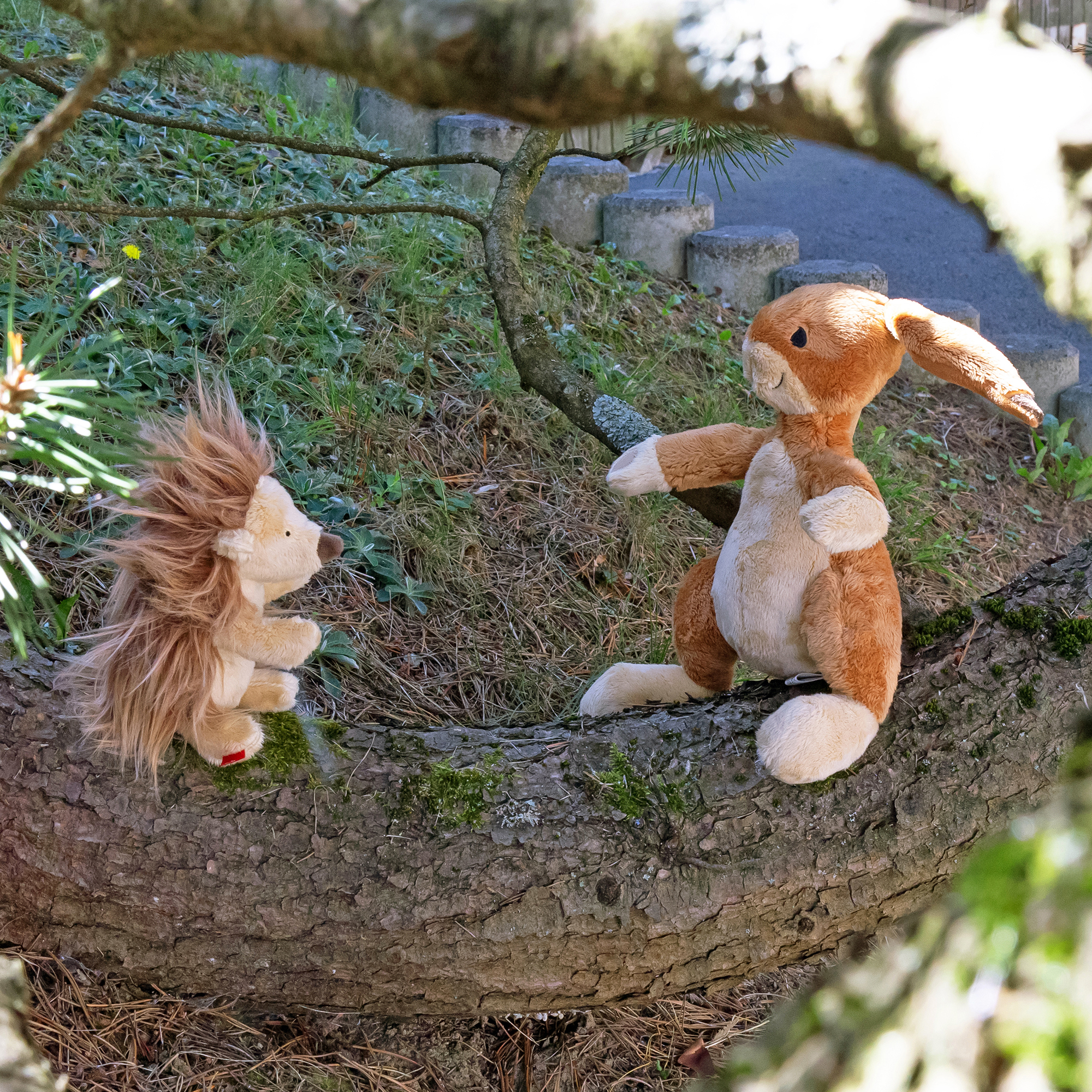 Wir Zwei Hase sigikid & Friend
