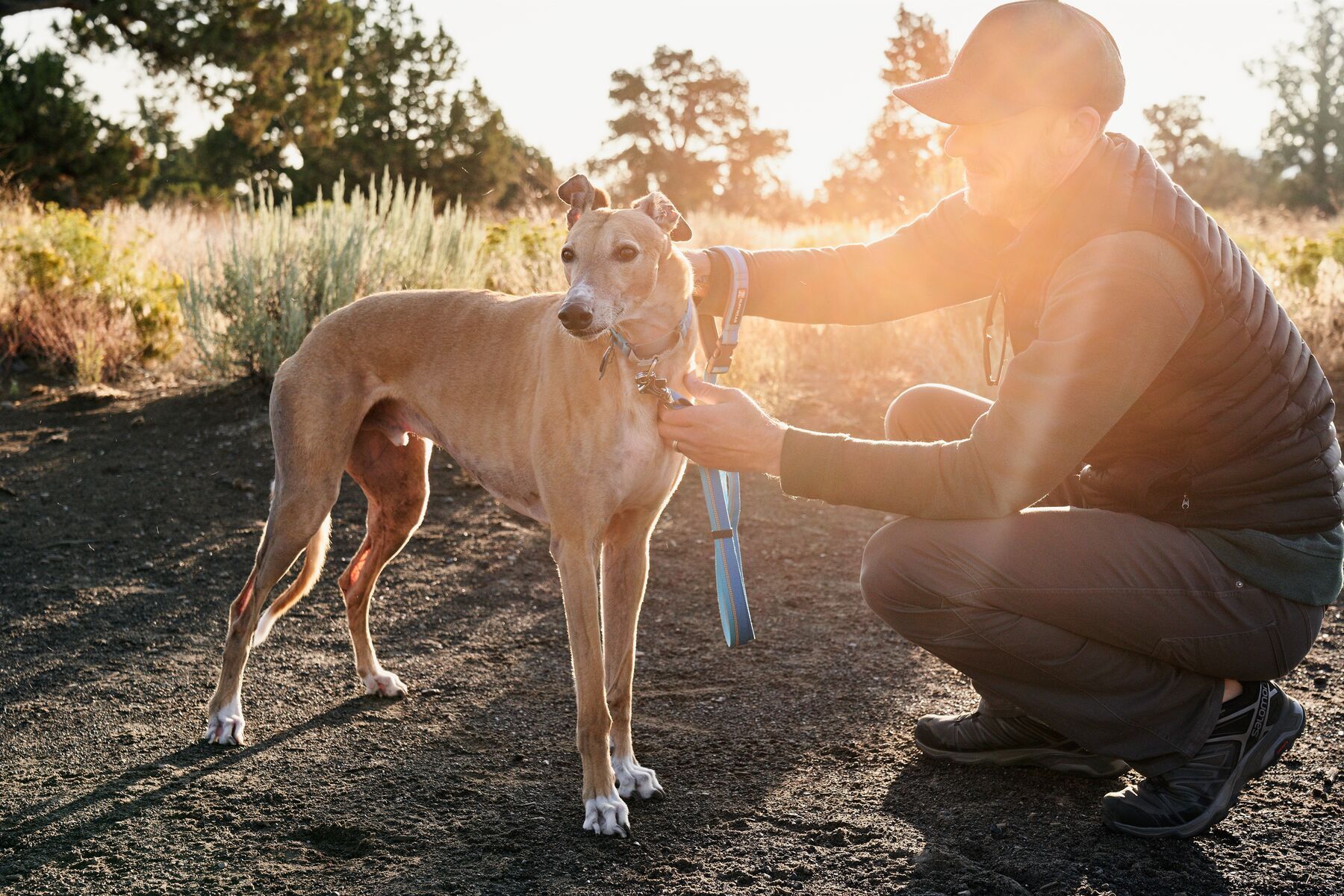 Ruffwear Hundehalsbänder Ruffwear Web Reaction™ Halsband grün XS