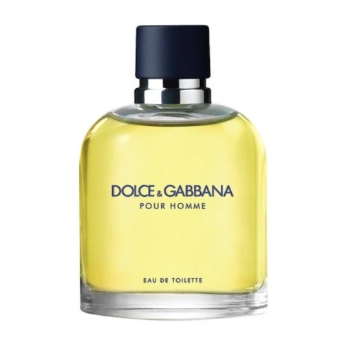 Dolce & Gabbana Pour Homme toaletna voda 125 ml