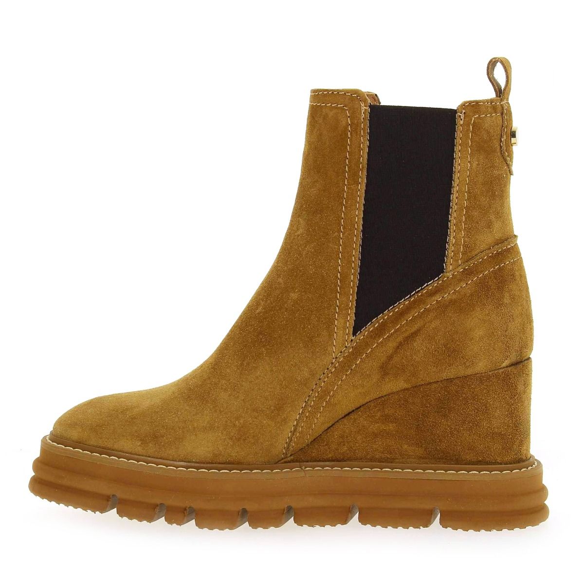 Alpe  2591 - camel